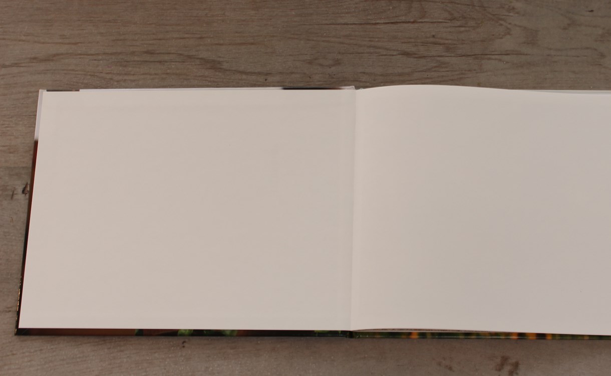 Albelli Fotoboek Tegenvallende Fotoalbum Test Tips Fotoalbum Maken