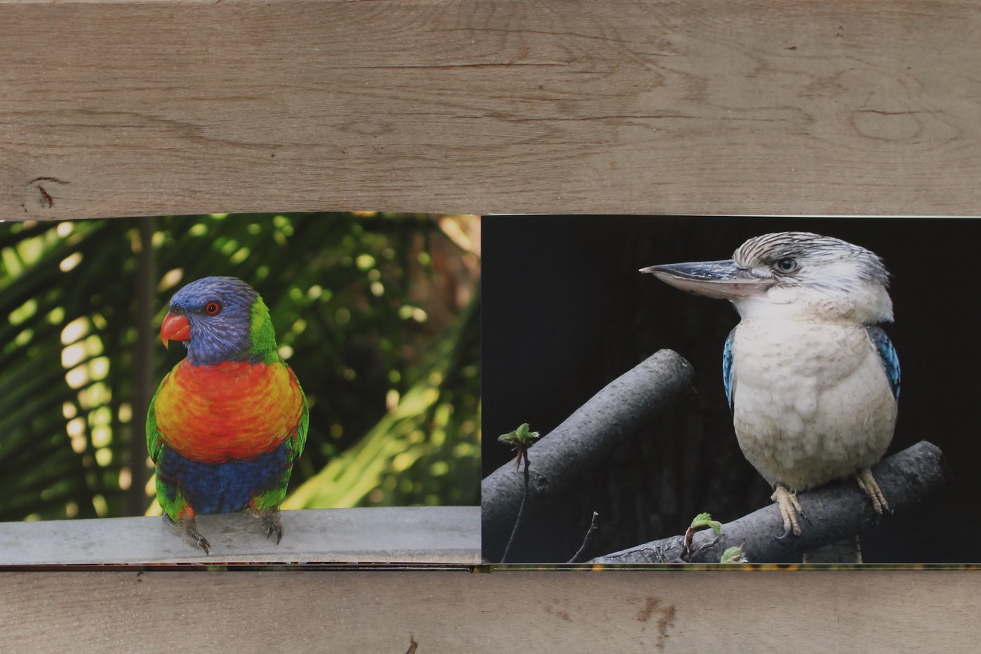 De platliggende fotoboeken van Saal Digitaal en Profotonet zijn van prima kwaliteit