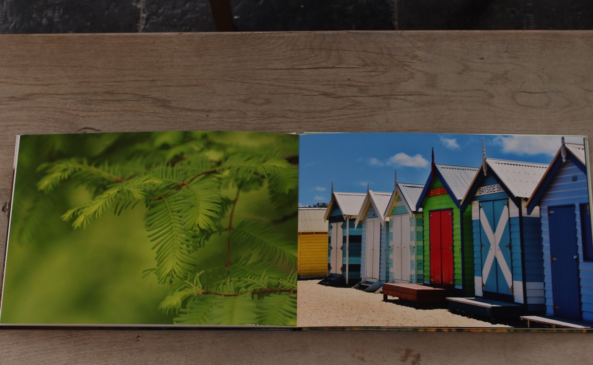 Review Profotonet Fotoboek Beste Uit De Fotoalbum Test