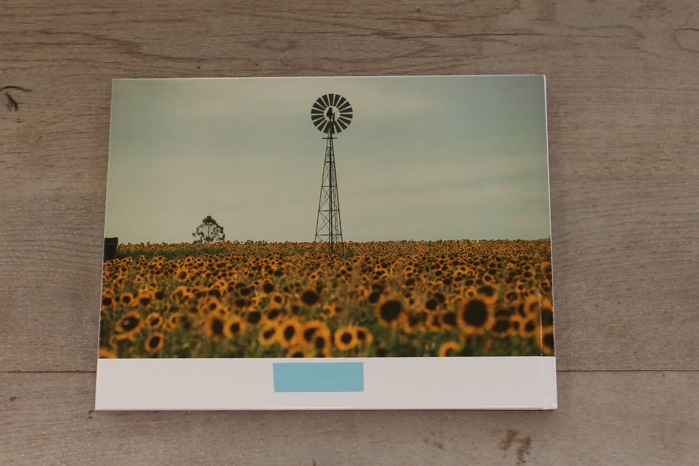 komedie Waarnemen Ijzig Inspiratie voor de mooiste fotoboek voorkant | Tips Fotoalbum Maken