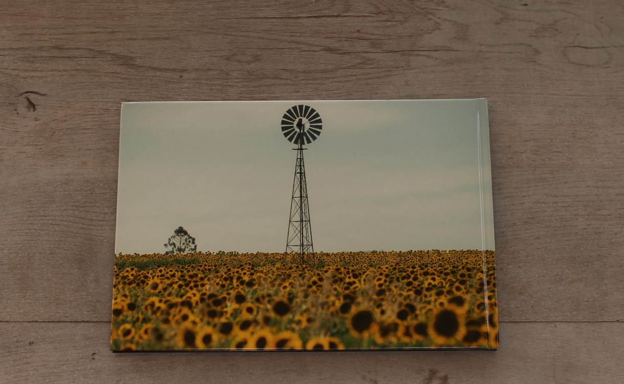 Review Profotonet Fotoboek Beste Uit De Fotoalbum Test