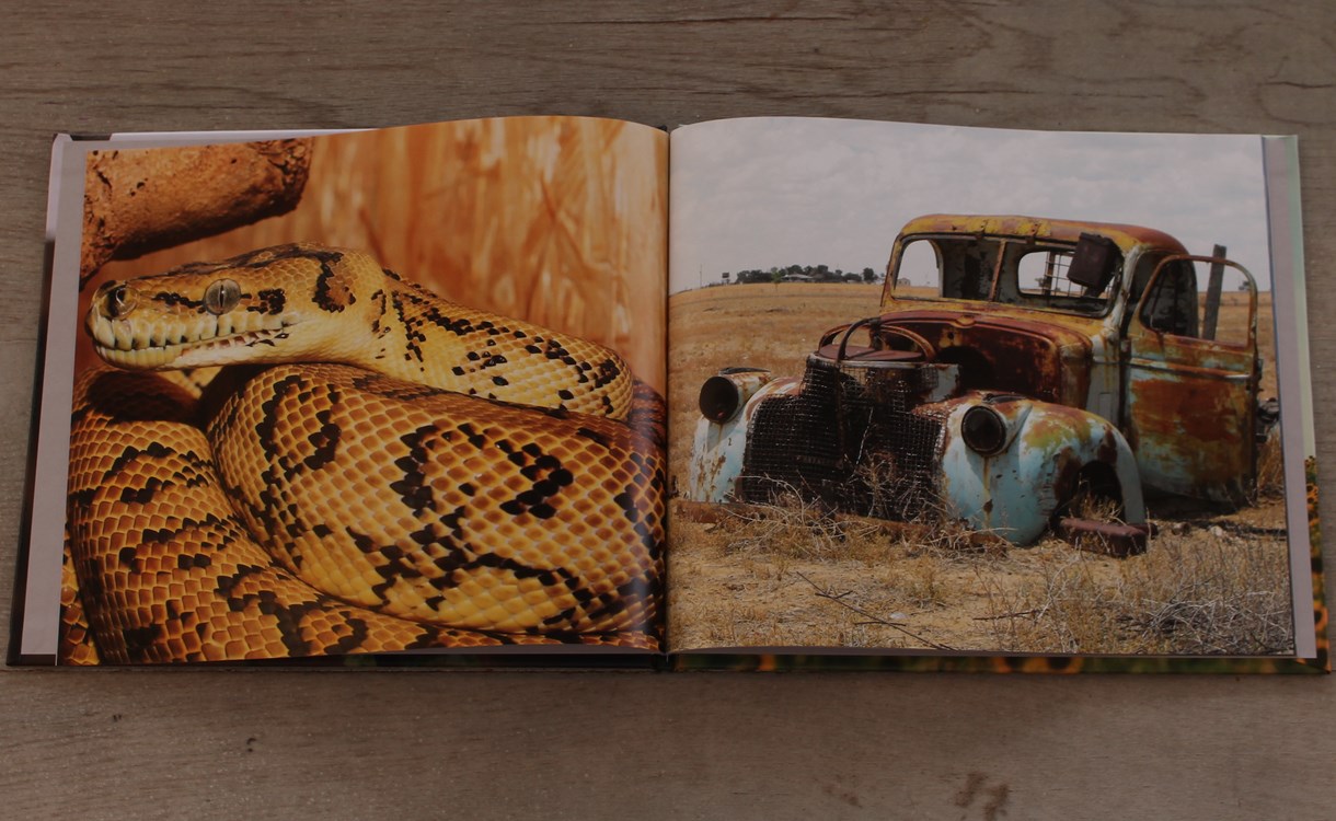 Blurb Download Mac Blurb Download Mac