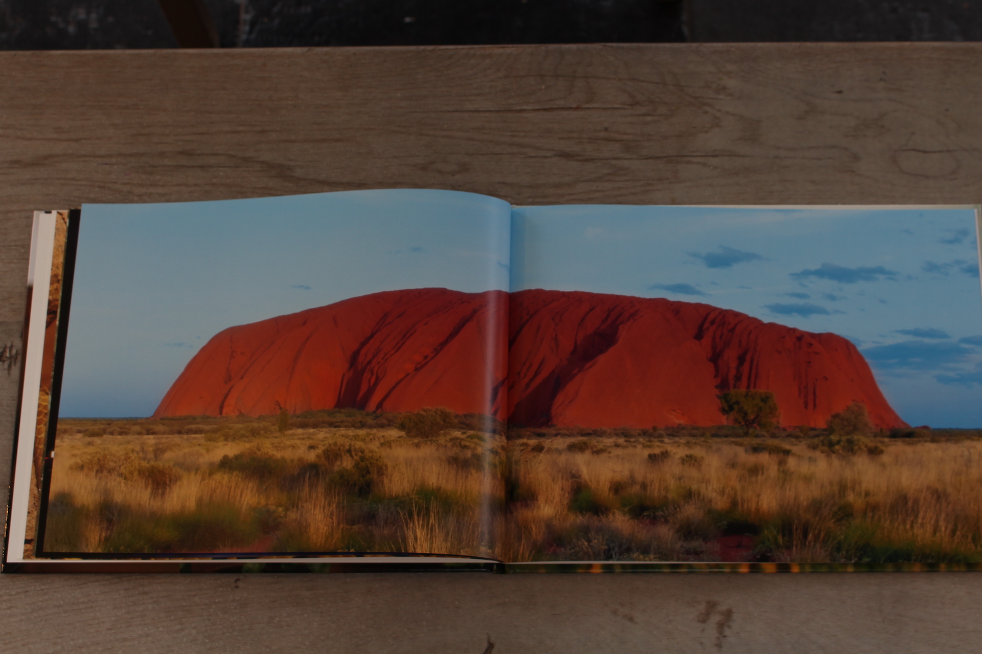 beoordeling albelli fotoboek